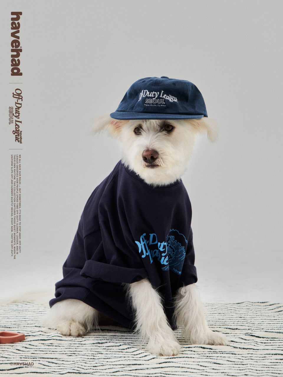 ODL Logo Soft Flat Cap (Navy)