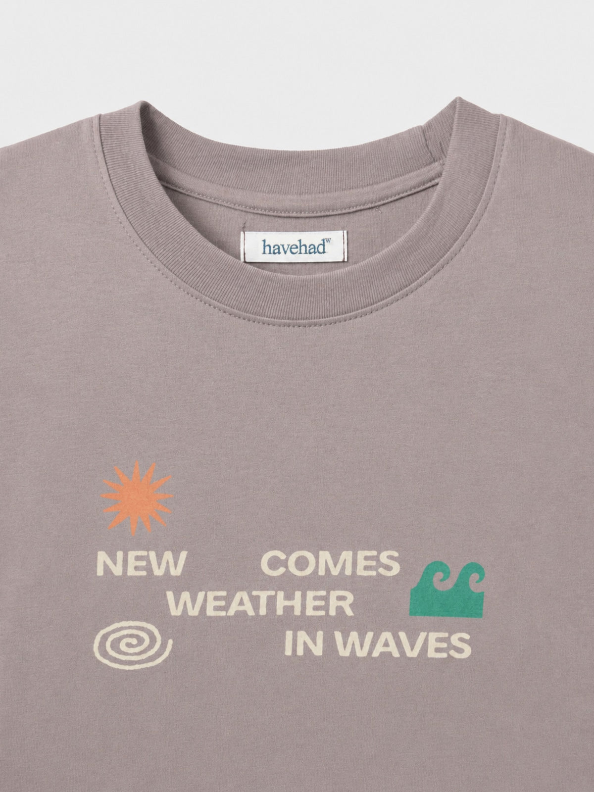 Weather in Waves Tee (Smoky Beige)