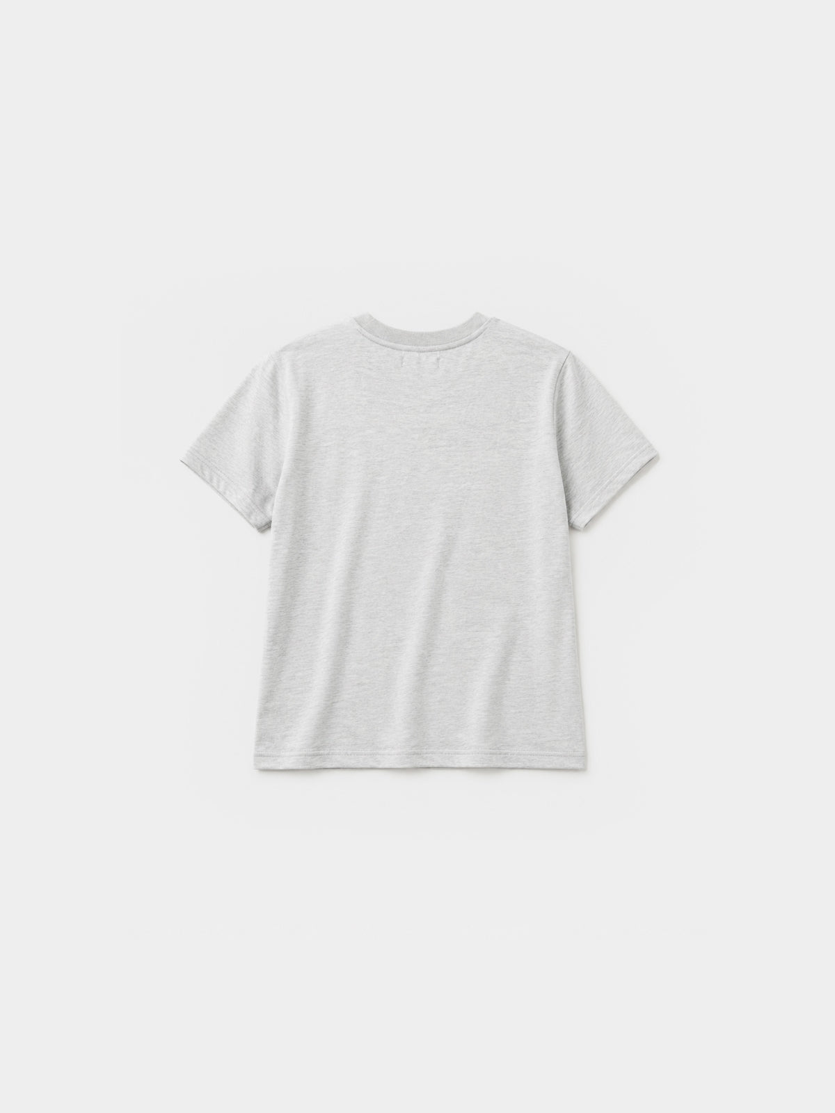Chasing Waves Tee (Ash)
